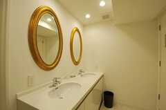 洗面台の鏡は丸型。洗面台の対面がシャワールームです。(2013-03-01,共用部,OTHER,3F)