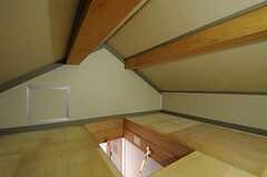屋根裏スペースの様子。(2013-10-20,共用部,OTHER,3F)