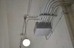 廊下の天井。クネクネの配管。(2013-02-27,共用部,OTHER,7F)