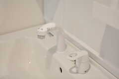洗面台はシャワー水栓。(2021-04-07,共用部,WASHSTAND,2F)