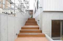 正面玄関へつづく階段の様子。(2013-02-21,周辺環境,ENTRANCE,1F)