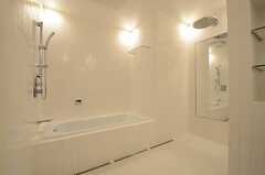 バスルームの様子。利用の際は有料です。バスタブとレインシャワーブース、洗面台を利用できます。(2013-02-21,共用部,OTHER,)