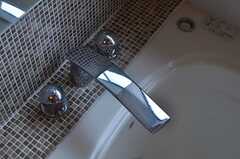 バスルームの水栓。(2013-04-19,共用部,BATH,1F)