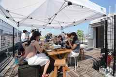 代官山 東急東横線 のシェアハウスを探す ひつじ不動産
