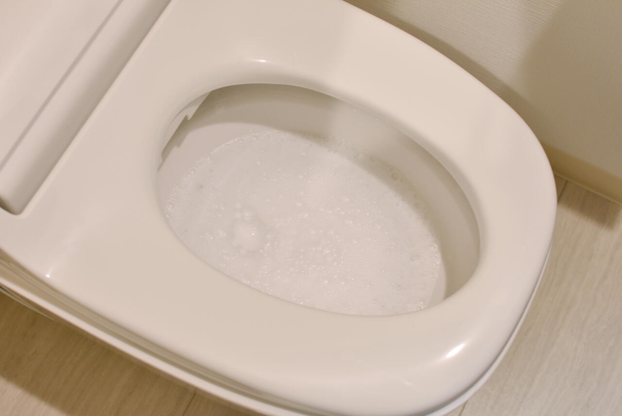 トイレは、洗剤を使用した自動洗浄機能付きです。トイレの対面がランドリールームです。|1F トイレ