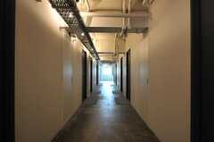 廊下の様子。専有部が並びます。(2013-10-30,共用部,OTHER,5F)