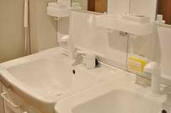 洗面台はシャワーノズルが設置されています。(2012-12-07,共用部,OTHER,3F)