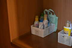 廊下の棚には、洗剤のボトルなどを置いておけます。(2020-09-03,共用部,OTHER,2F)