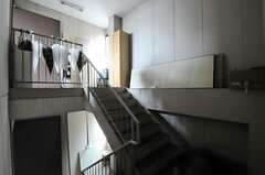 階段の様子。(2012-11-27,共用部,OTHER,3F)