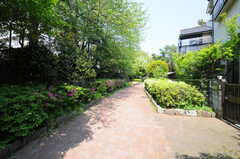 駅からの道のりは多くが緑道。晴れた日はとても気持ちが良いです。(2013-04-15,共用部,ENVIRONMENT,1F)
