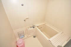 バスルームの様子。（205号室）(2009-09-04,共用部,BATH,2F)