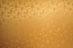 壁紙が金色に輝いています。（203号室）(2011-09-12,専有部,ROOM,2F)