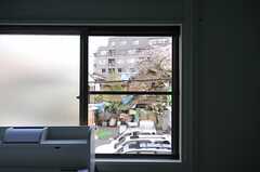 窓の外の景色。大きな桜の木が見えます。（201号室）(2013-04-05,専有部,ROOM,2F)