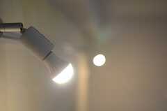 照明は取り付けの簡単なレールタイプです。（301号室）(2013-03-15,専有部,ROOM,3F)