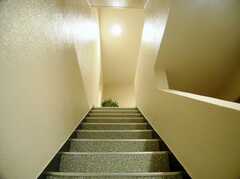 階段の様子。（B1から1F）(2006-11-30,共用部,OTHER,)