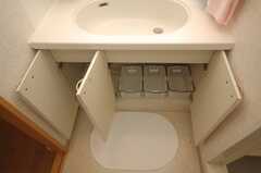 洗面台下には洗面道具を置くことができる。(2008-07-14,共用部,TOILET,4F)