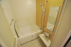 バスルームの様子。バスルームは2室あります。(2013-12-19,共用部,BATH,1F)
