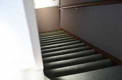 階段の様子。(2011-11-01,専有部,ROOM,4F)