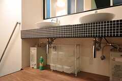 洗面台下にも部屋ごとに分けられた洗面用具を置くスペースがあります。バスルームや洗濯機は1Fにあります。(2011-08-26,共用部,OTHER,2F)