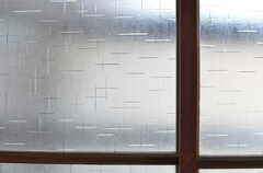 窓は型ガラス。（C102号室）(2014-03-26,専有部,ROOM,1F)