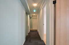 廊下の様子。204〜206号室が並んでいます。(2014-07-24,共用部,OTHER,2F)
