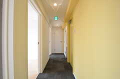 廊下の様子。301〜303号室が並びます。(2014-07-24,共用部,OTHER,4F)