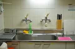キッチンの様子。水栓が2つ並んでいます。片方は短め。(2012-06-04,共用部,KITCHEN,1F)