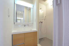 洗面台とシャワールームの様子。(2012-12-24,共用部,BATH,2F)