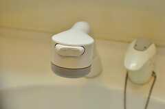 洗面台のシャワー水栓の様子。(2012-05-21,共用部,OTHER,1F)