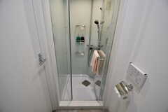 トイレの対面がシャワールームです。（S220号室）(2020-11-04,専有部,ROOM,2F)