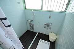 シャワールームの様子。脱衣スペースを兼ねています。(2013-10-01,共用部,BATH,1F)