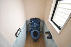 トイレの様子。(2009-04-14,共用部,TOILET,5F)