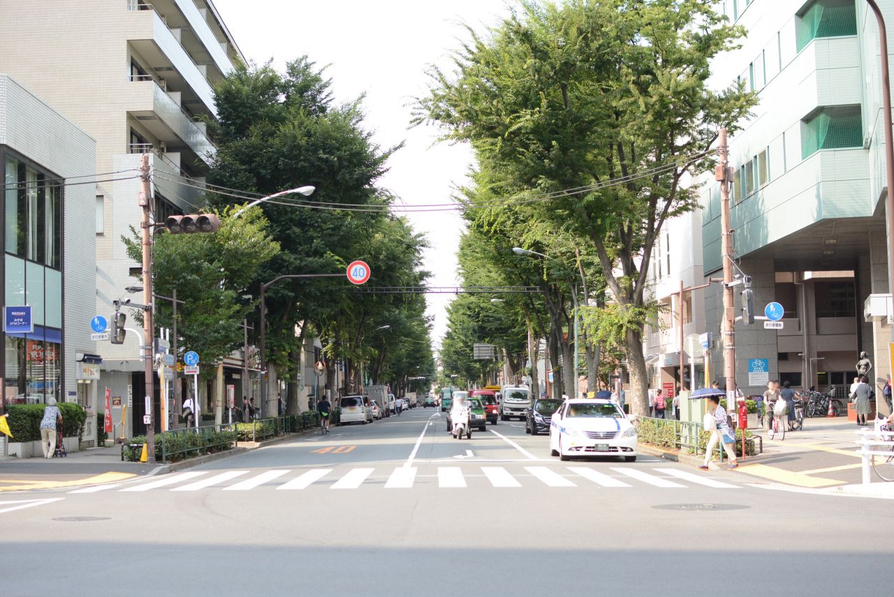 中杉通りをまっすぐ進むと阿佐ヶ谷駅にも歩いていけます。|1F 周辺環境