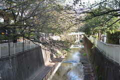 駅近くを流れる神田川。(2021-10-11,共用部,ENVIRONMENT,1F)