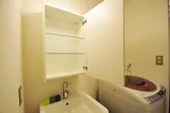 洗面台の鏡の裏には歯ブラシなどを置くことができます。(2011-09-30,共用部,OTHER,2F)