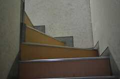 階段の様子。(2012-03-12,共用部,OTHER,1F)