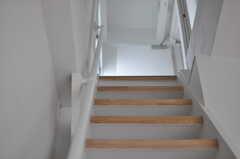 階段の様子2。(2013-08-12,共用部,OTHER,4F)