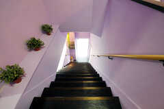 階段の様子。(2011-03-01,周辺環境,ENTRANCE,2F)