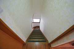 階段の様子2。(2013-07-23,共用部,OTHER,2F)