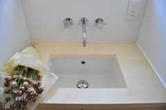 洗面台の蛇口はマリンな雰囲気です。(2012-02-20,共用部,OTHER,2F)