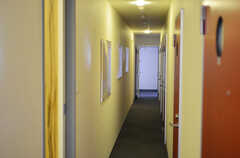 廊下の様子。床は黒、ドアは赤。(2012-04-09,共用部,OTHER,2F)