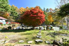 庭の紅葉。(2022-11-03,共用部,OTHER,1F)