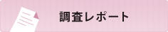 調査レポート